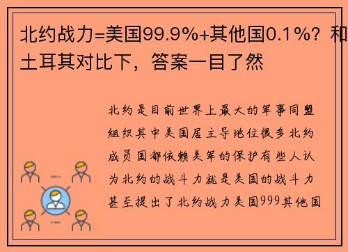 北约战力=美国99.9%+其他国0.1%？和土耳其对比下，答案一目了然