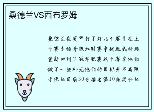 桑德兰VS西布罗姆